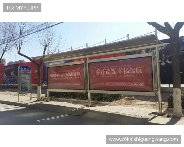 D88尊龙会员年度特惠活动盘点，错过不再，享受年度最大优惠盛宴