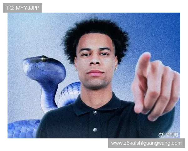 深入了解尊龙凯时网址的服务项目及优势特点